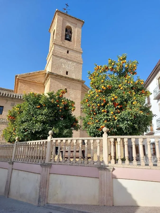 Casa Alice Salar Bed and Breakfast Bed & Breakfast
